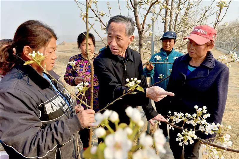 阜平縣城最新規劃圖，塑造未來城市的藍圖