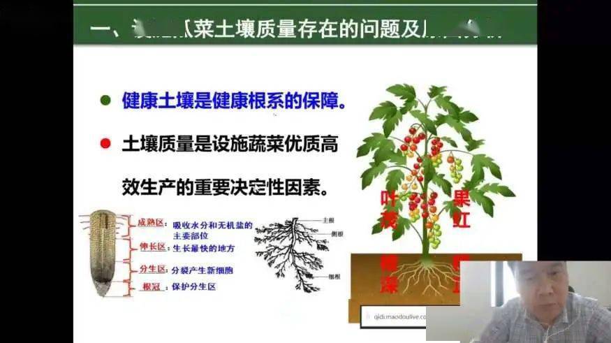 最新招聘果樹(shù)技術(shù)人員，掌握果樹(shù)科學(xué)，助力綠色產(chǎn)業(yè)發(fā)展