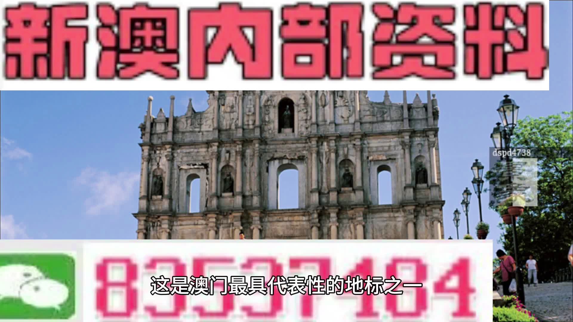 新澳精準(zhǔn)資料免費(fèi)提供，探索第265期的價(jià)值與影響