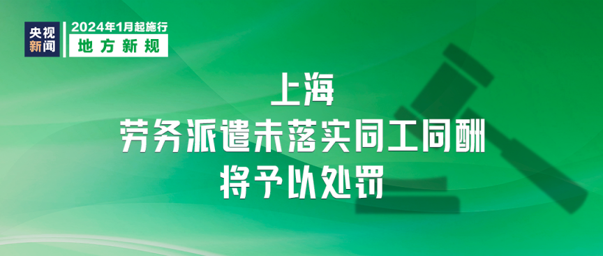 探索與分享，2024正版資料大全的免費(fèi)資源世界