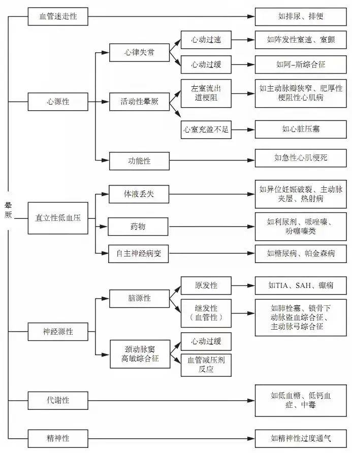 澳門100%最準一肖，探索背后的神秘與魅力