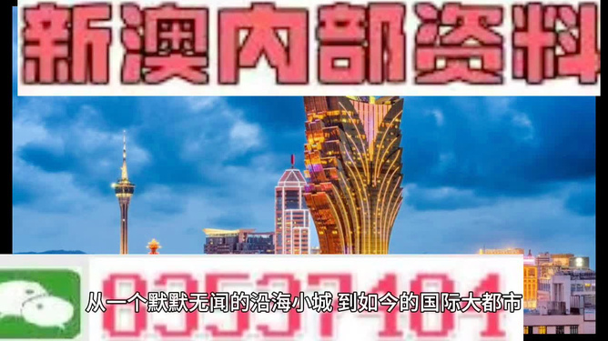 新澳精準資料免費提供，探索第510期的奧秘與價值