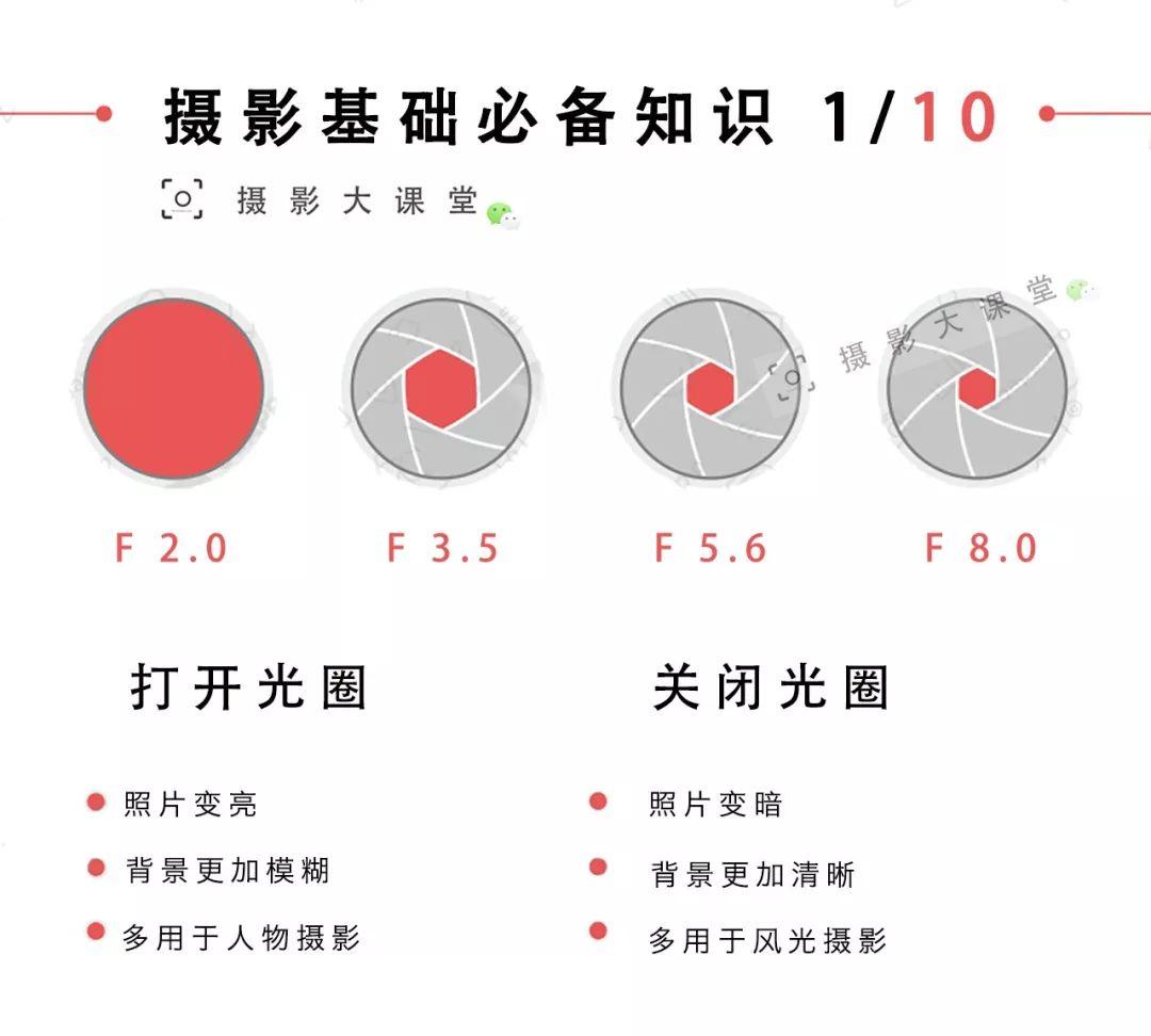 尼康最新入門級單反，開啟攝影之旅的優選伙伴