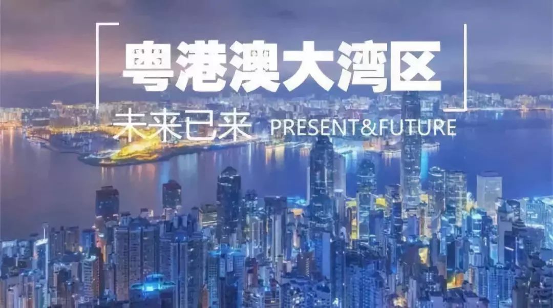 澳門正版免費資源，探索背后的真相與挑戰（2024年視角）