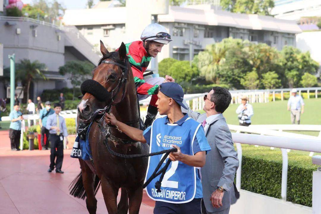 香港賽馬資料更新的速度與深度，與時俱進的數據之源