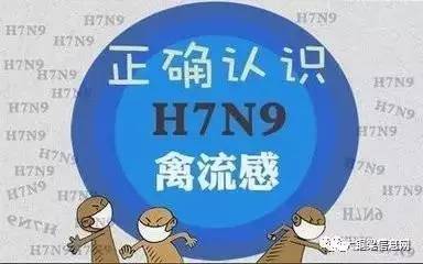 香港H7N9最新消息2017，流感監測與防控進展